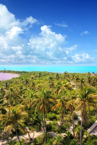 Вид с воздуха Contoy tropical caribbean island Mexico — стоковое фото