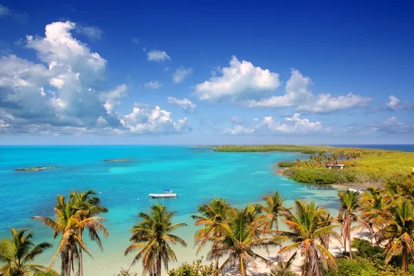Αεροφωτογραφία τροπικό νησί της Καραϊβικής contoy Μεξικό — Φωτογραφία Αρχείου