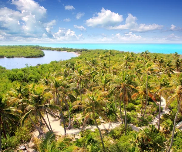 Вид с воздуха Contoy tropical caribbean island Mexico — стоковое фото