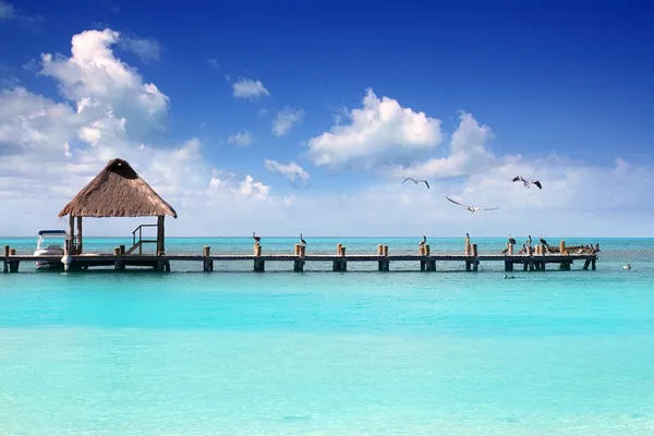 Caribe tropical playa cabina muelle Contoy isla — Foto de Stock