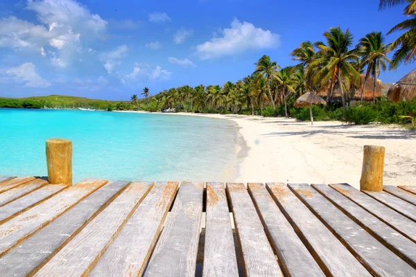 Contoy ostrov palm treesl caribbean pláž Mexiko — Stock fotografie