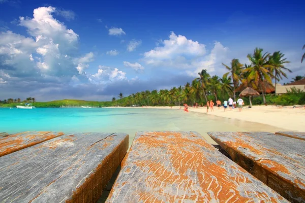 Contoy eiland palm treesl Caribische strand mexico — Stockfoto