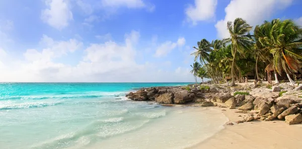 Karibiska Mexiko tropiska panoramautsikt över stranden tulum — Stockfoto