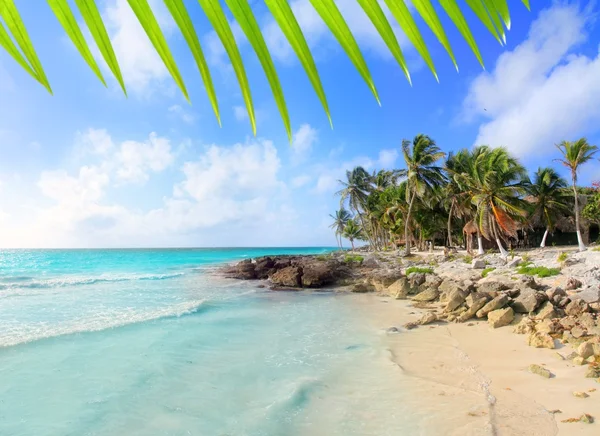 トゥルムのカリブ海メキシコ熱帯のターコイズ ブルーのビーチ — ストック写真