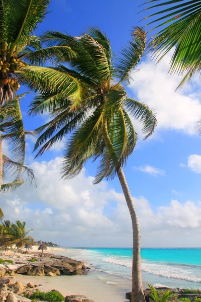 Karibik Tulum Mexico tropischer türkisfarbener Strand — Stockfoto