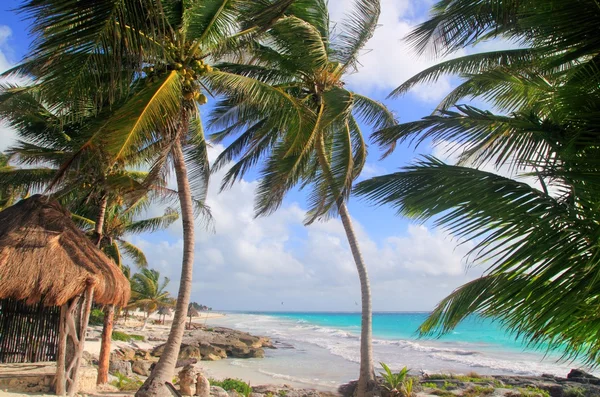 Karibiska Mexiko tropiska turkos stranden tulum — Stockfoto