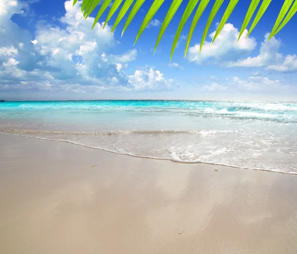 Caribische ochtend licht strand nat zand reflectie — Stockfoto
