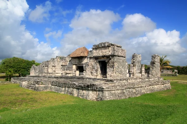 Αρχαία tulum Μάγια ερείπια Μεξικό quintana roo — Φωτογραφία Αρχείου