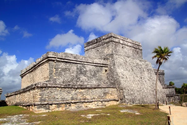 Древний Тулум Майя разрушил Мексику Кинтана Ру — стоковое фото