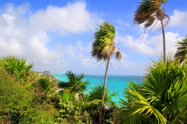 Карибский пляж Tulum Mexico turquoise aqua — стоковое фото