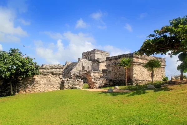 トゥルムの古代マヤ遺跡メキシコ キンタナ — ストック写真