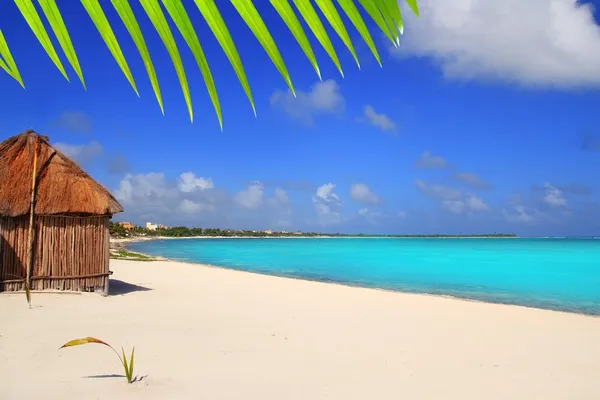 Karibská palapa přední tropické pláži Mayská riviéra — Stock fotografie