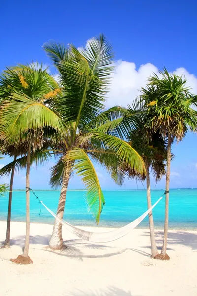 Caribbean sea with swing hammock turquoise beach — Stock Photo, Image