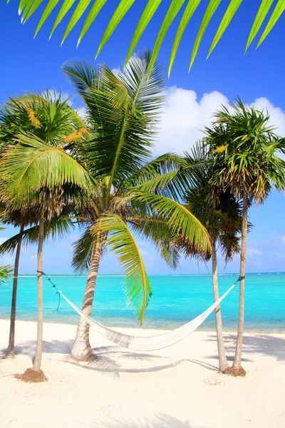 Caribische zee met schommel hangmat turquoise strand — Stockfoto