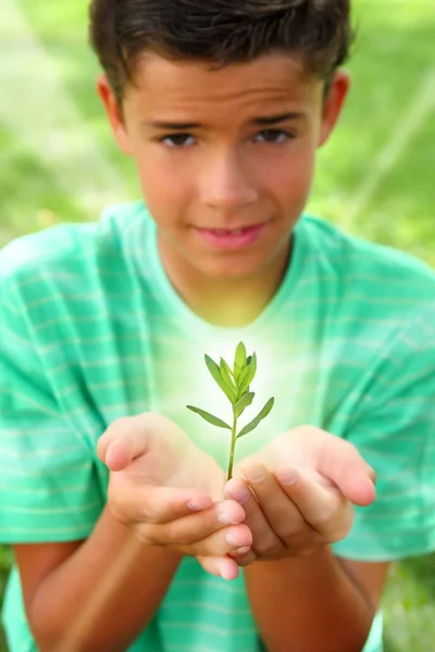노을 빛 십 대 소년 손 성장 하는 식물 새싹 — 스톡 사진