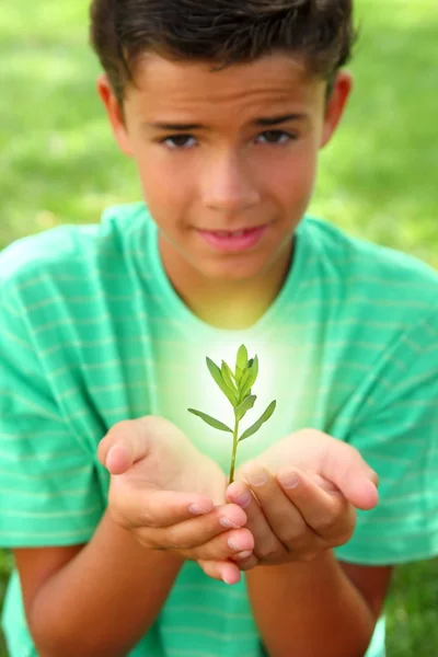 グロー光 10 代の男の子の手を成長植物もやし — ストック写真