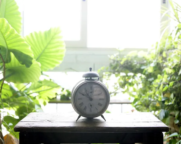 창 백라이트에서 오래 된 알람 벨 시계 — 스톡 사진