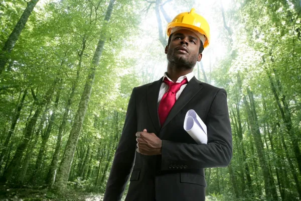 Archictect in an ecological forest project — Stock Photo, Image