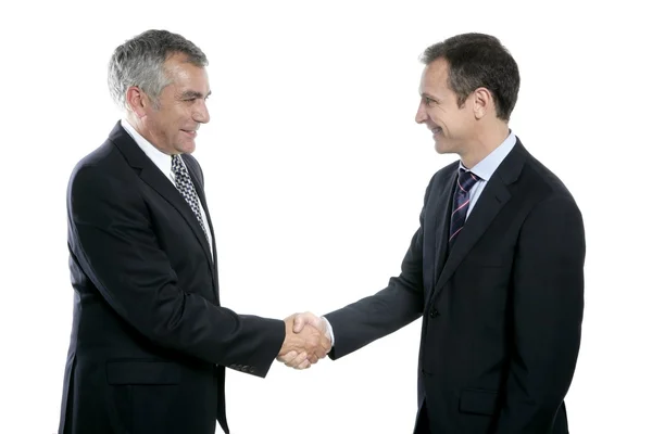 Adulto empresário handshake experiência retrato — Fotografia de Stock