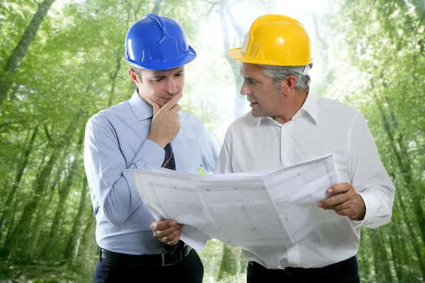 Mérnök, építész két szakértői csapat terv erdő — Stock Fotó