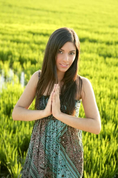Hermosa mujer india morena en campos de arroz verde — Foto de Stock