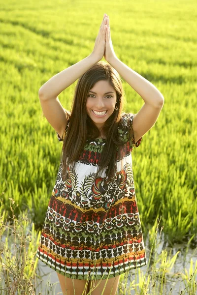 Hermosa mujer india morena en campos de arroz verde — Foto de Stock