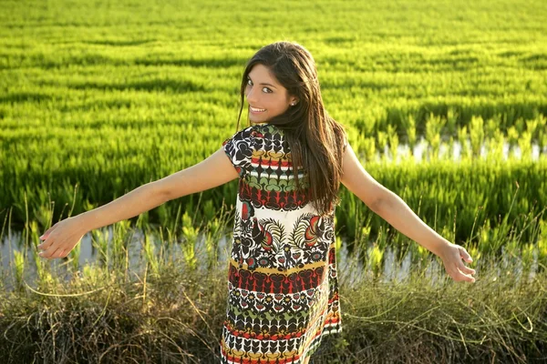 Mulher indiana morena bonita em campos de arroz verde — Fotografia de Stock