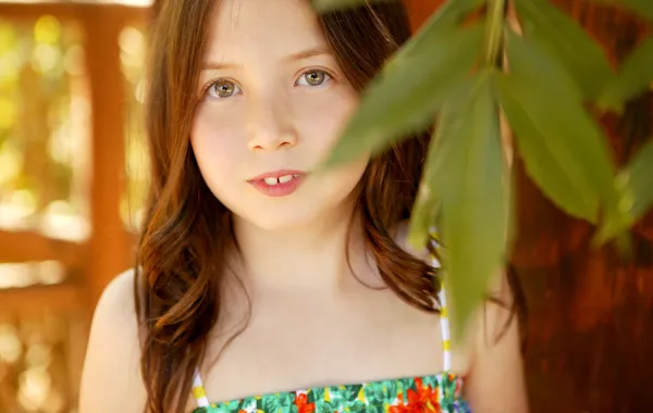 Retrato de menina jovem com folhas verdes ang madeira — Fotografia de Stock