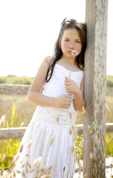 Menina no parque brincando com espiga de flor — Fotografia de Stock