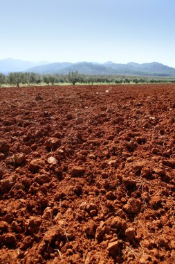 Red clay soil texture on a sunny morning clipart