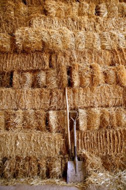 Golden straw barn stacked clipart