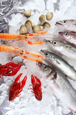 Seafood in market over ice clipart