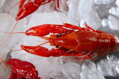 Seafood in market over ice clipart