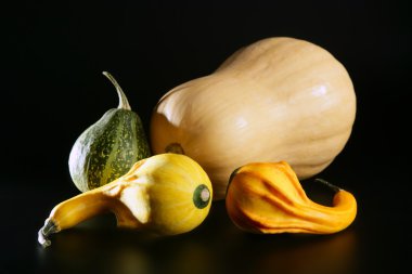 calabaza de halloween poco verde