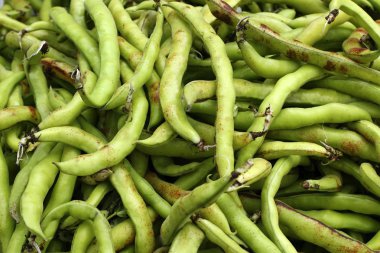 Lima beans vegetables food texture clipart