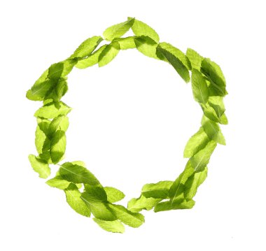 Basil mint leave still frame over white clipart