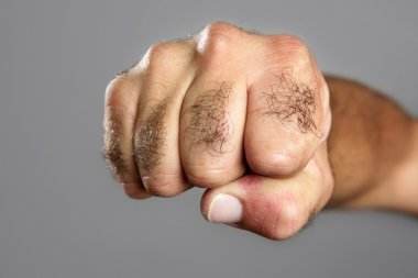 Hairy man fist closeup expression over gray clipart