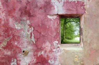 pembe duvar pencere kayın ormanı yaşlı yıpranmış