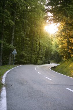 Asphalt winding curve road in a beech forest clipart