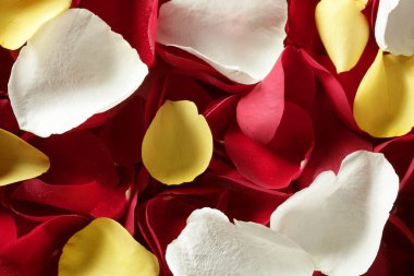 renkli gül yaprağı deseni duvar kağıdı doku