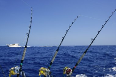 mavi deniz ve gökyüzü büyük oyun orkinos balıkçılık gün