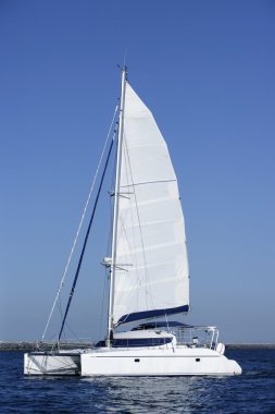 Catamaran sailboat sailing blue ocean water clipart