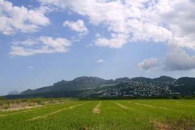 Doğa