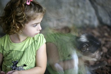 Toddler girl looking at the monkey clipart