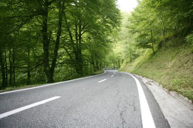 Asphalt winding curve road in a beech forest clipart