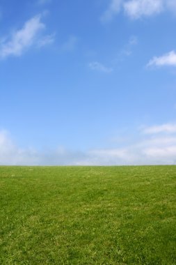 Green meadow horizon and blue sky