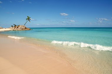 tulum Maya Rivierası tropikal beach palm ağaçlar