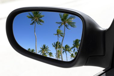 Dikiz ayna tropikal palmiye ağaçları araba