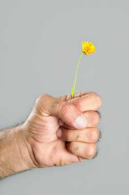 kavram ve kontrast kıllı adam el ve çiçek