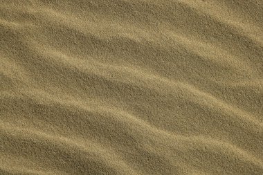 Wavy sea shore sand texture on sunshine clipart